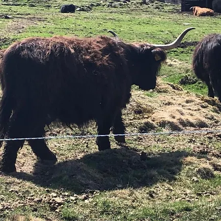 útulný S Balkonem Na šumavě V Malebné Vesničce
