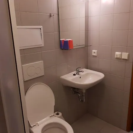 útulný S Balkonem Na šumavě V Malebné Vesničce * Prasily